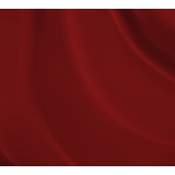 Criminal Lipstick No 14